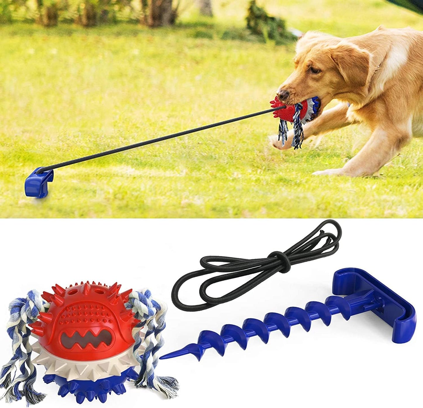 Interactive & Durable Dog Toys Rope & Squeaky Toys for Large & Medium Breeds, with Tough Chew Toys & Teeth Cleaning Benefits for Aggressive Chewers