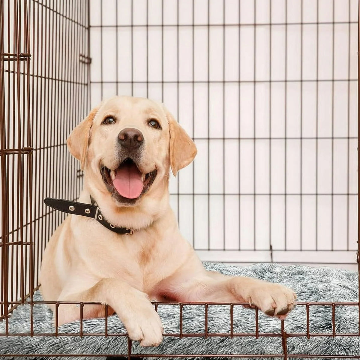 Large Dog Bed Washable Dog Mats Anti-Slip Bottom Beige Large 51"X35" Pet Beds for Large Dogs