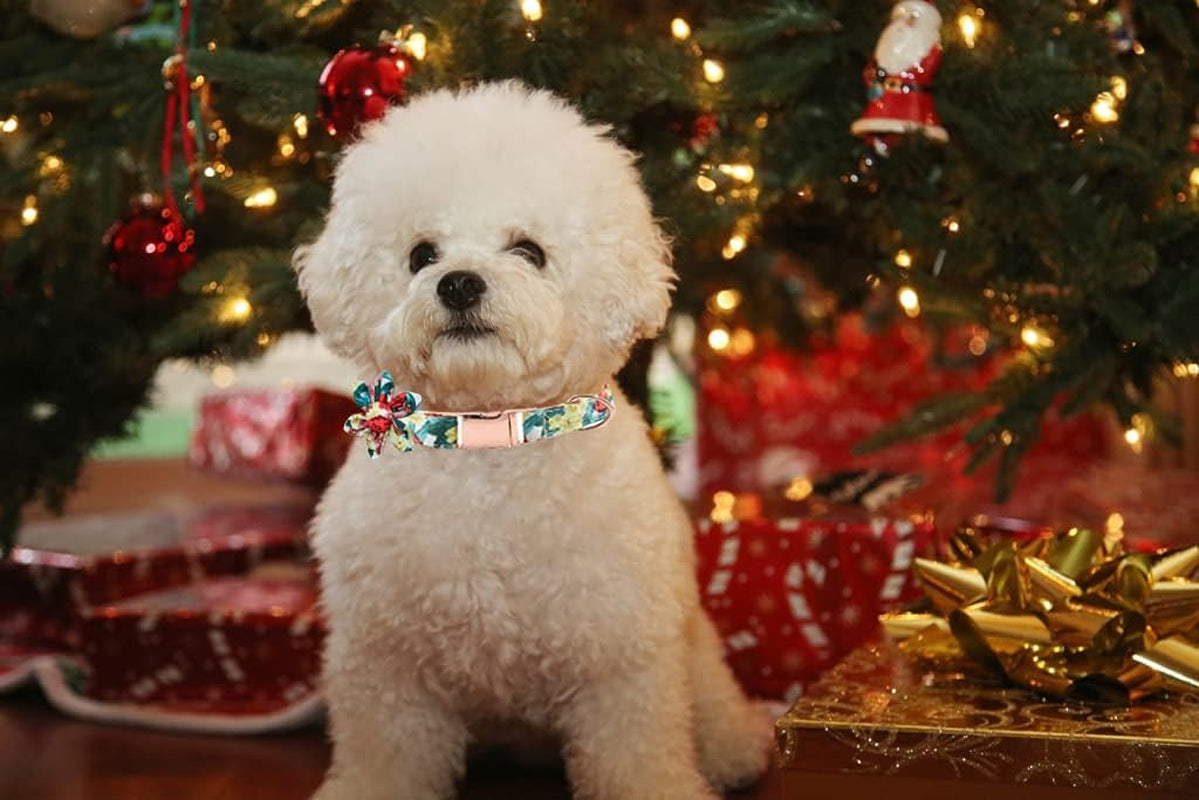 Siroomly Dog Collar Bow Tie,Flower Girl Dog Collar Puppy Collar Floral Pattern Dog Collar Cute Dog Collar with Detachable Bow Tie Adjustable Collars for Female Dogs Small Medium Large, Red Green Bow