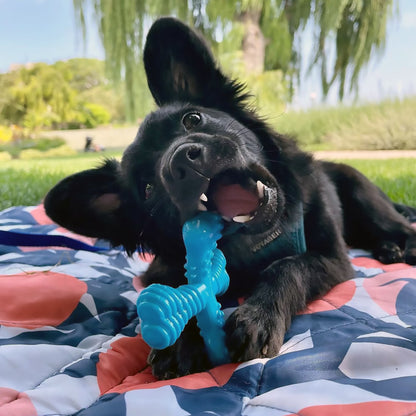 Power Chew Comfort Hold X Bone Dog Toy, Dog Chew Toy, Beef Flavor, Small, 1 Count