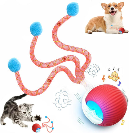 Speed 2.0 Tail Interactive Cat Toys for Indoor Cats, Moving Cat Toy