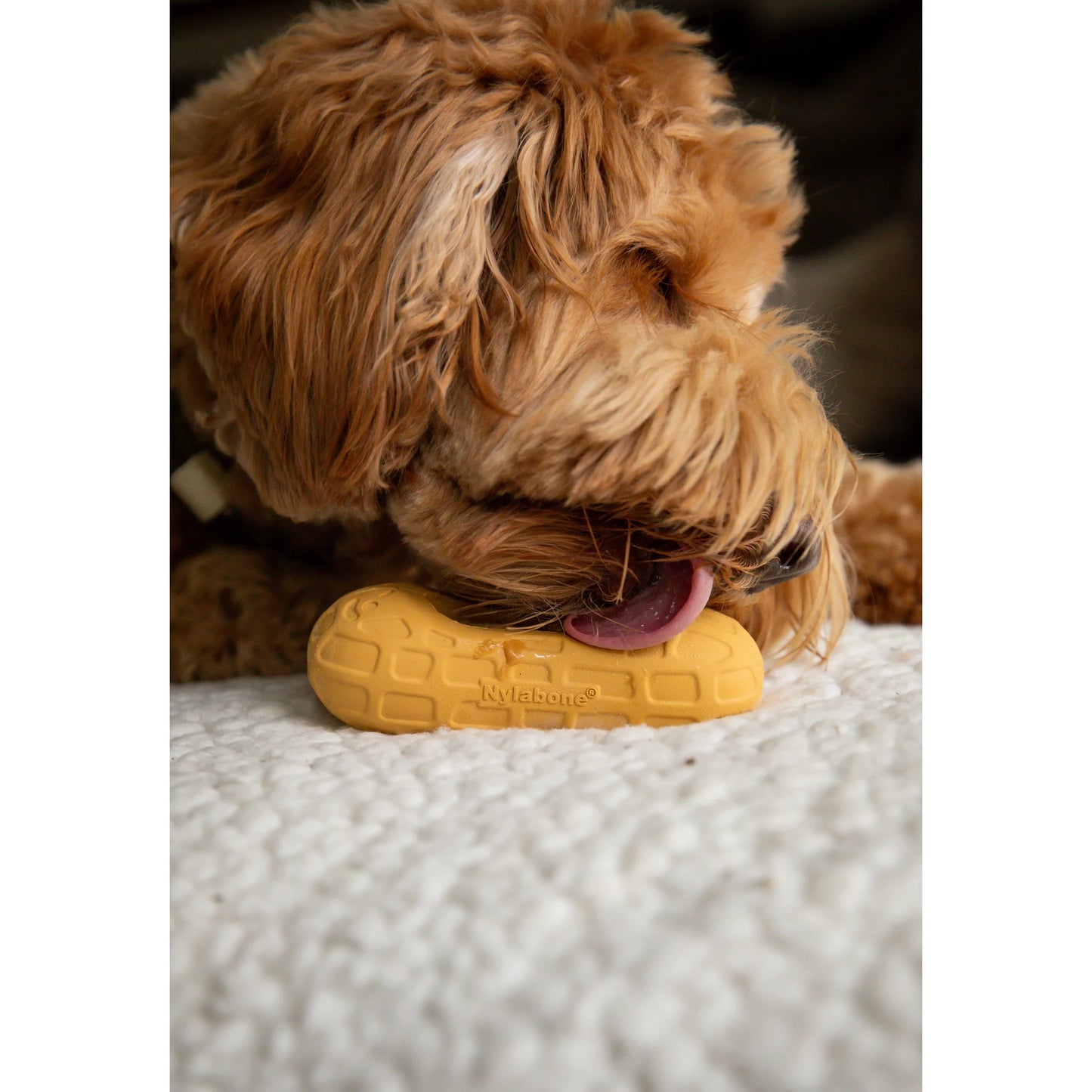 Strong Chew Fillable Peanut Dog Treat Toy, Dog Toy, Peanut Butter Flavor, Medium