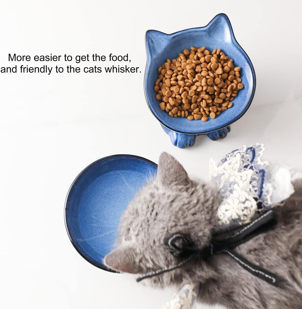 Elevated Cat Bowls,5 Inch Ceramic Raised Cat Food and Water Bowl Set