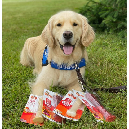 Power Chew Original Bone Dog Toy, Dog Chew Toy, Original Flavor, Large, 1 Count