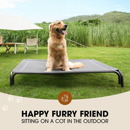 Outdoor Elevated Dog Bed for Medium Sized Dogs, No-Tool Assembly.