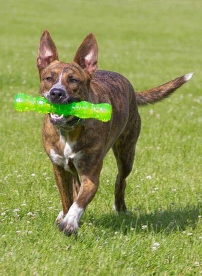 Dura-Squeaks Durable Non-Toxic TPR Bouncing Super Squeaky Dog Toy, Stick, Green