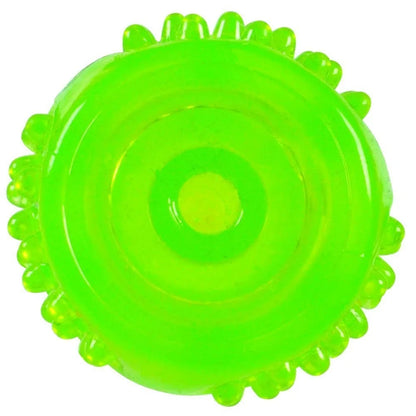Dura-Squeaks Durable Non-Toxic TPR Bouncing Super Squeaky Dog Toy, Stick, Green