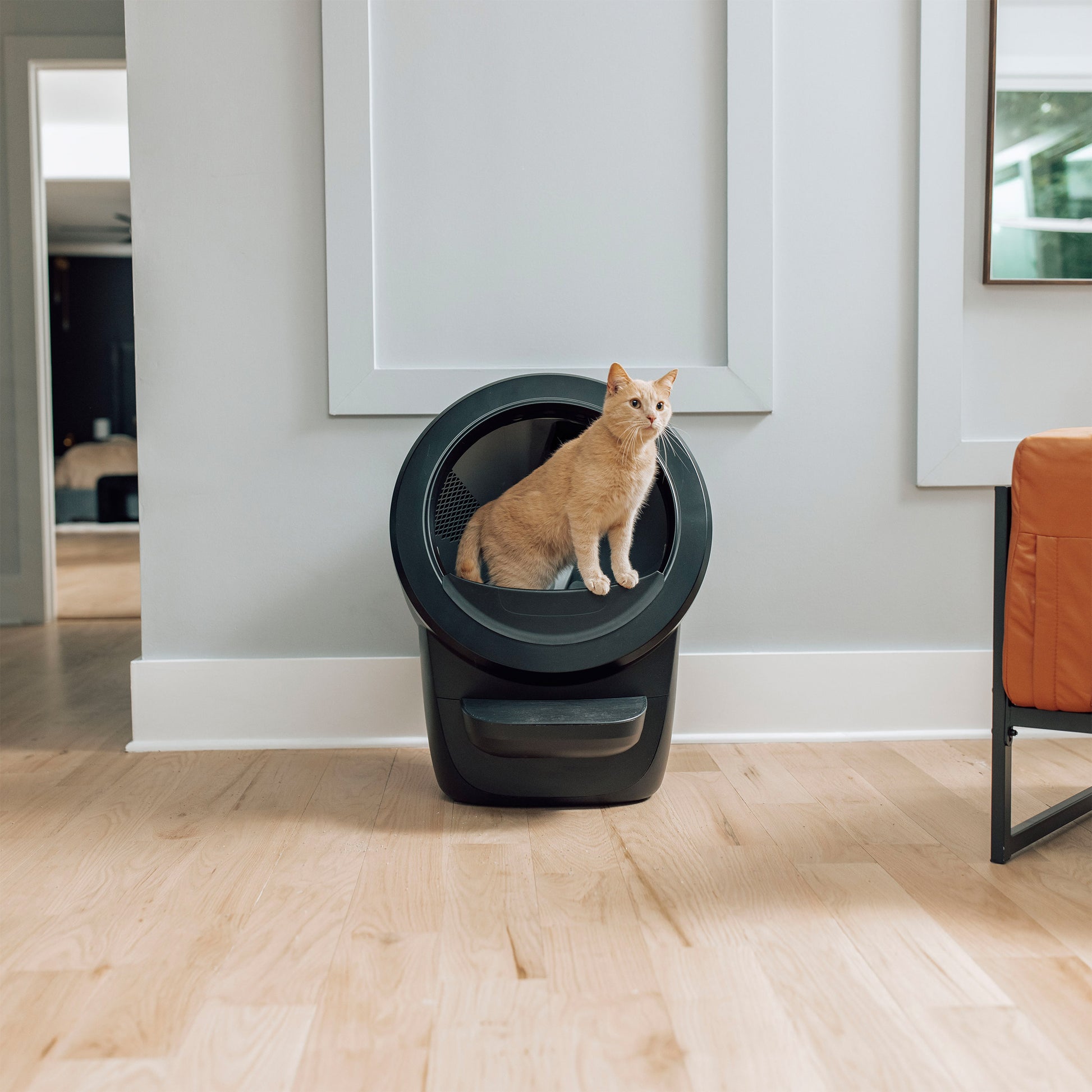 Litter-Robot 4 Self-Cleaning Cat Litter Box, Litterhopper Bundle