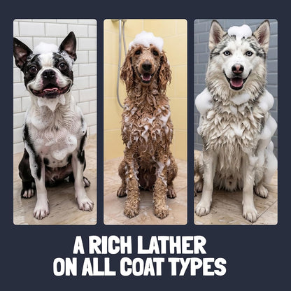 Detangling Dog Shampoo and Conditioner Set