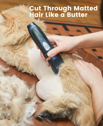 Cat Clippers and Paw Trimmer 3 in 1 Cat Grooming Kit