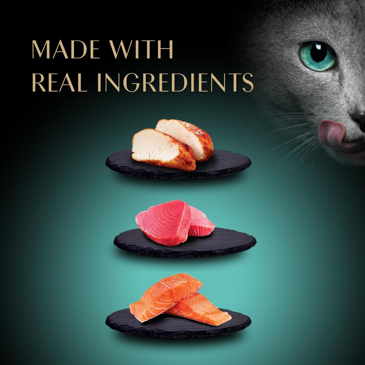 Premium Puree Lickable Cat Treats, Chicken, Salmon & Tuna, 24 Count