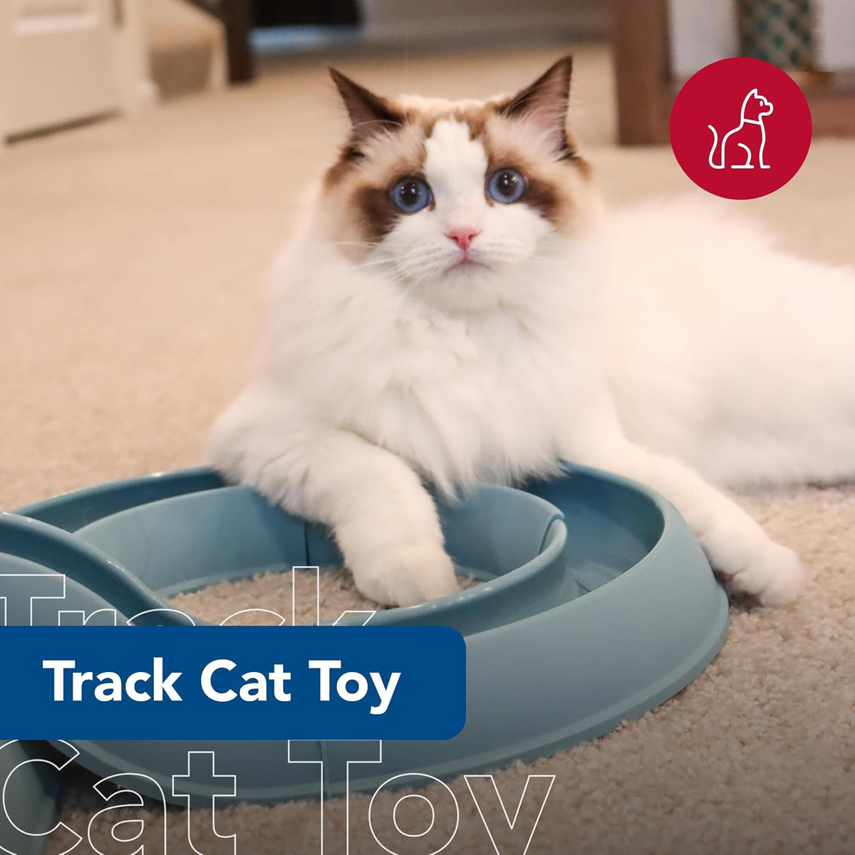 Pet Turbo Track Cat Toy - Cat Ball Toy & Racetrack - Easy Assembly - Slate Blue (1 Pack)