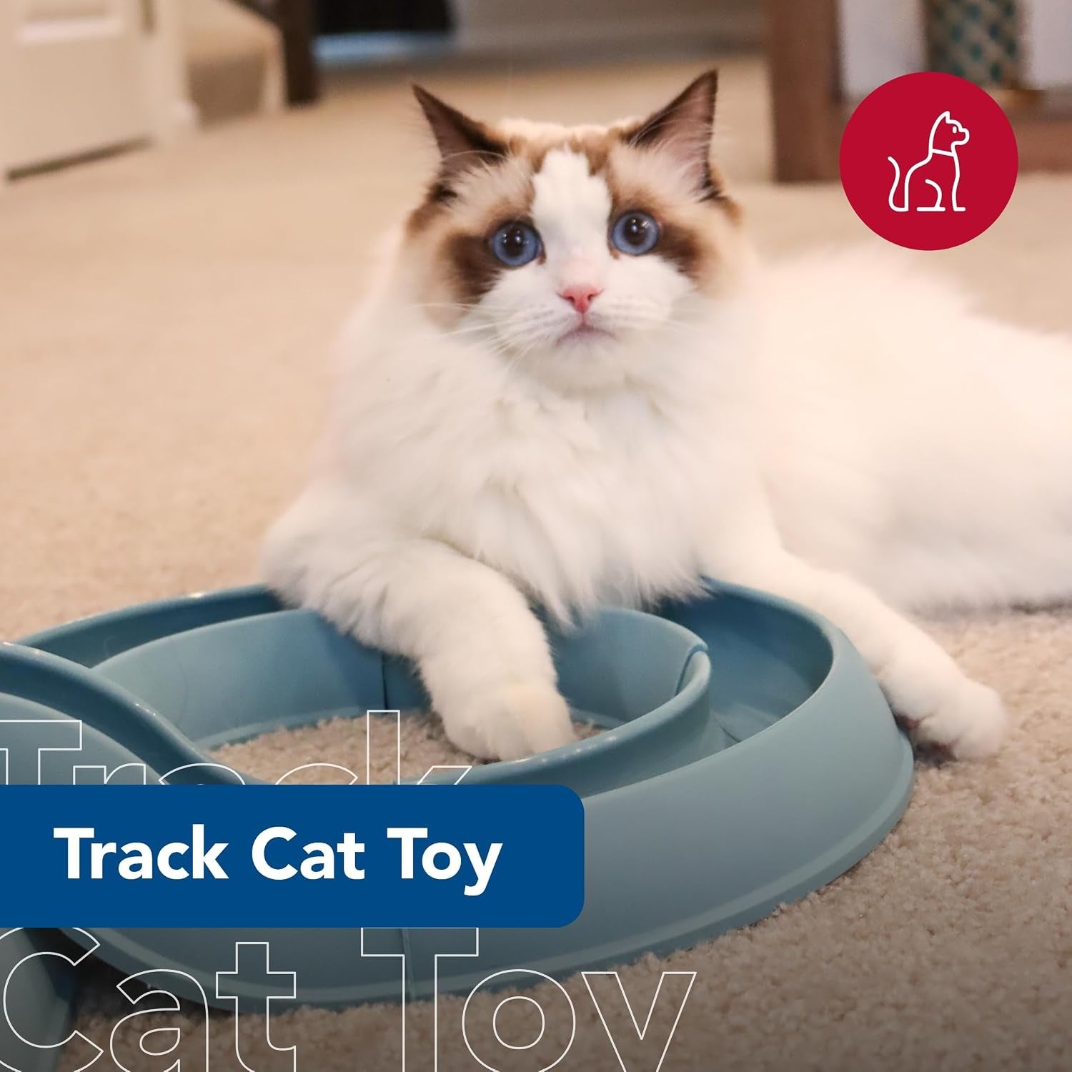 Pet Turbo Track Cat Toy - Cat Ball Toy & Racetrack - Easy Assembly - Slate Blue (1 Pack)