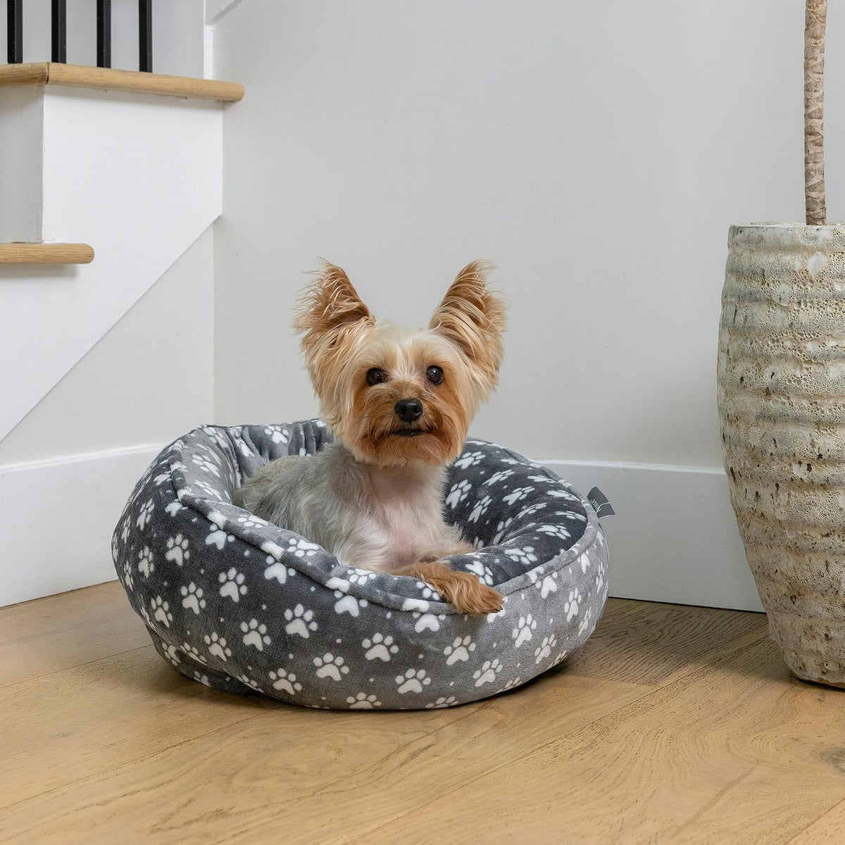 Studio Paw Dot Charcoal Small Circle Microplush Pet Bed 18" - Poly Filled - Machine Washable