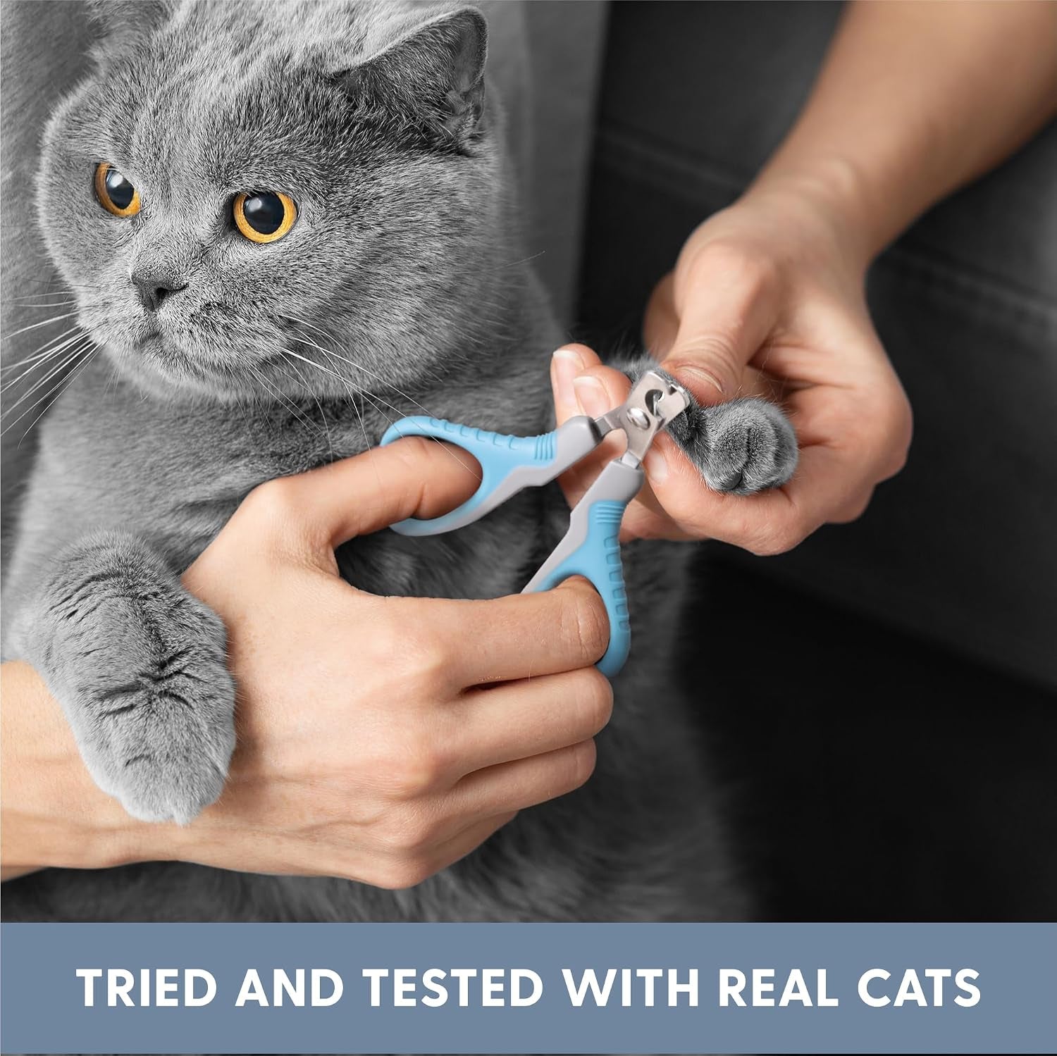 Cat Grooming Kit - 5 Piece Brushes Kit - with Comb and Matted Fur Undercoat Deshedding Cat Hair Brush for Long Haired Cats or Short Haired Kittens or Bunny Rabbits