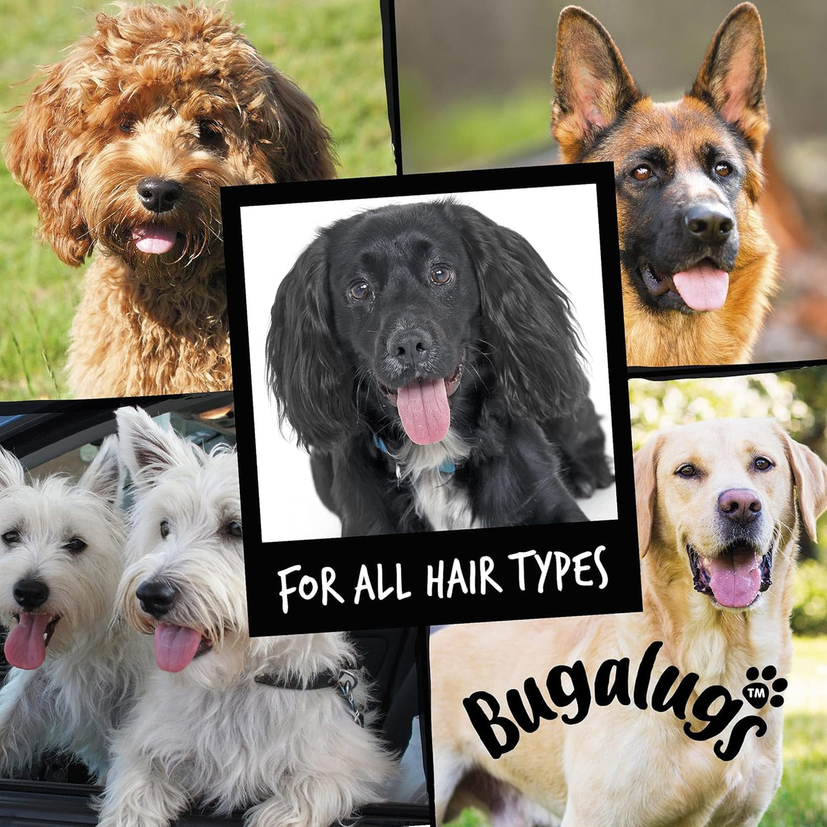 Dog Shampoo Luxury 2 in 1 Papaya & Coconut Dog Grooming Shampoo Products for Smelly Dogs with Fragrance, Best Puppy Shampoo, Professional Groom Vegan Pet Shampoo & Conditioner