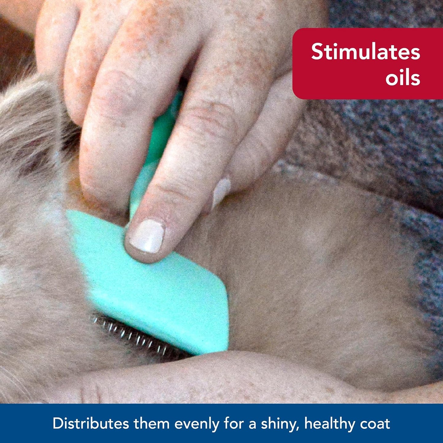 Pet Li'L Pals - Kitten Slicker Brush with Coated Tips