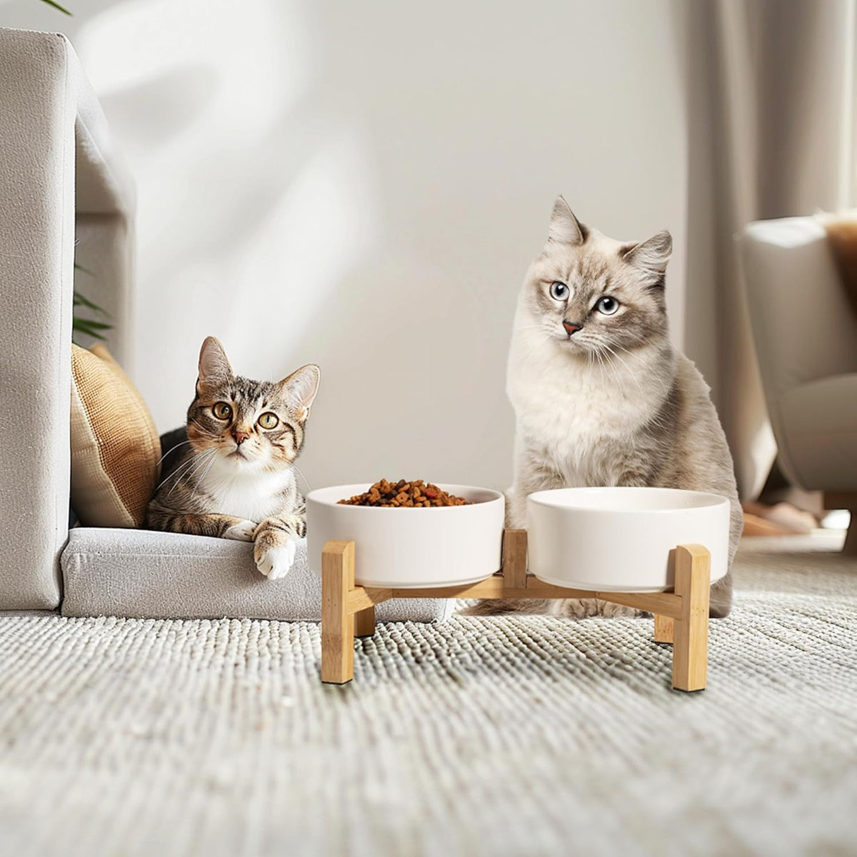 Elevated Ceramic Dog Bowl, 2 Cups Dog Food and Water Bowl Set with Stand