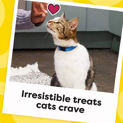 Temptations Lobster and Beef Flavor Birthday Cat Treats