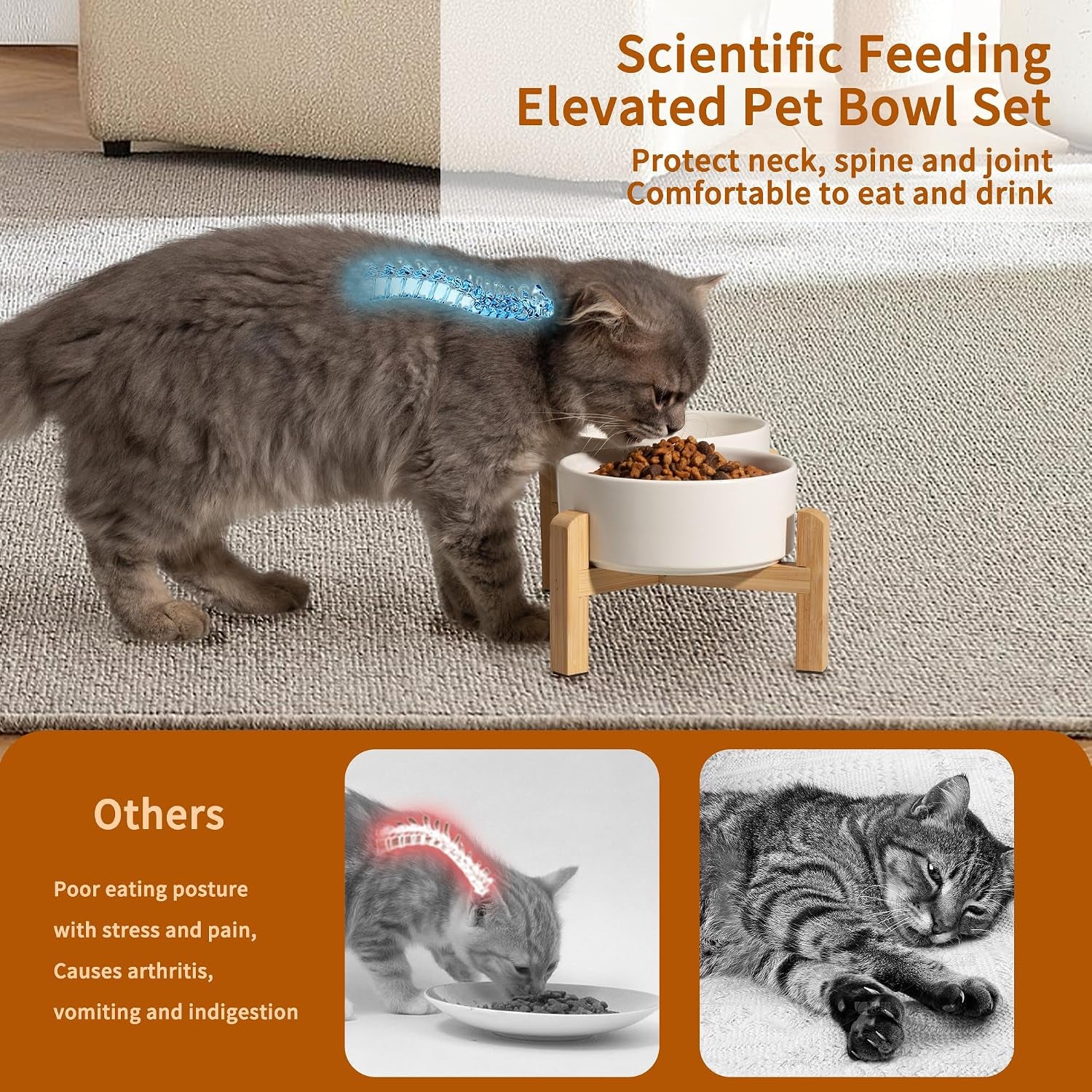 Elevated Ceramic Dog Bowl, 2 Cups Dog Food and Water Bowl Set with Stand