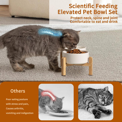 Elevated Ceramic Dog Bowl, 2 Cups Dog Food and Water Bowl Set with Stand