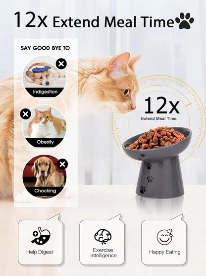 Slow Feeder Cat Bowl, Ceramic Cat Slow Feeder Bowl, 6 Inches, Elevated, anti Vomiting for Dry and Wet Food, Gray