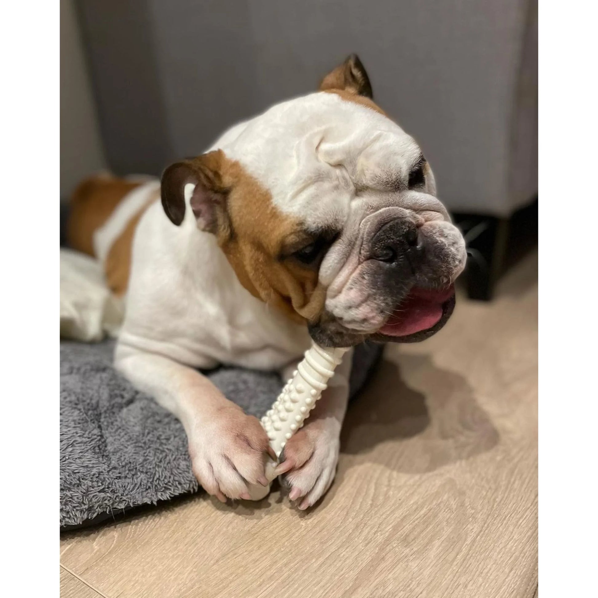 Power Chew Textured Knuckle Bone Dog Toy, Dog Chew Toy, Chicken Flavor, X-Large, 1 Count