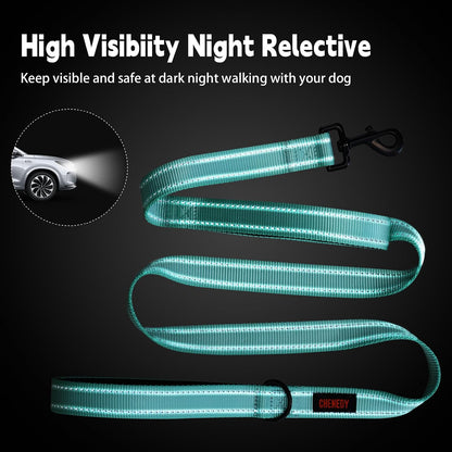 Heavy Duty Double Handle Leash - Reflective Training Lead for Large Breed Dogs (6Ft-Black)
