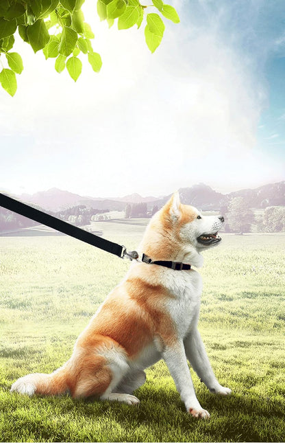 15Ft 20Ft 30Ft 40Ft 50Ft Long Dog/Puppy Lead Obedience Recall Training Dog Leashes for Small Medium Dogs Camping, Training, Play, or Backyard (20 FT, Black)