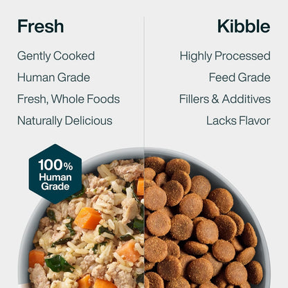 Justfresh Fresh Wet Dog Food or Topper - Chicken, 7 Pack