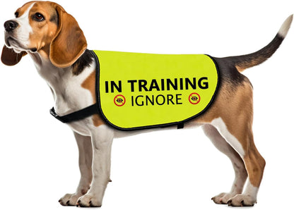 Training Ignore Dog Jacket - Slogan Warning Vest for Dog Walking (Large)