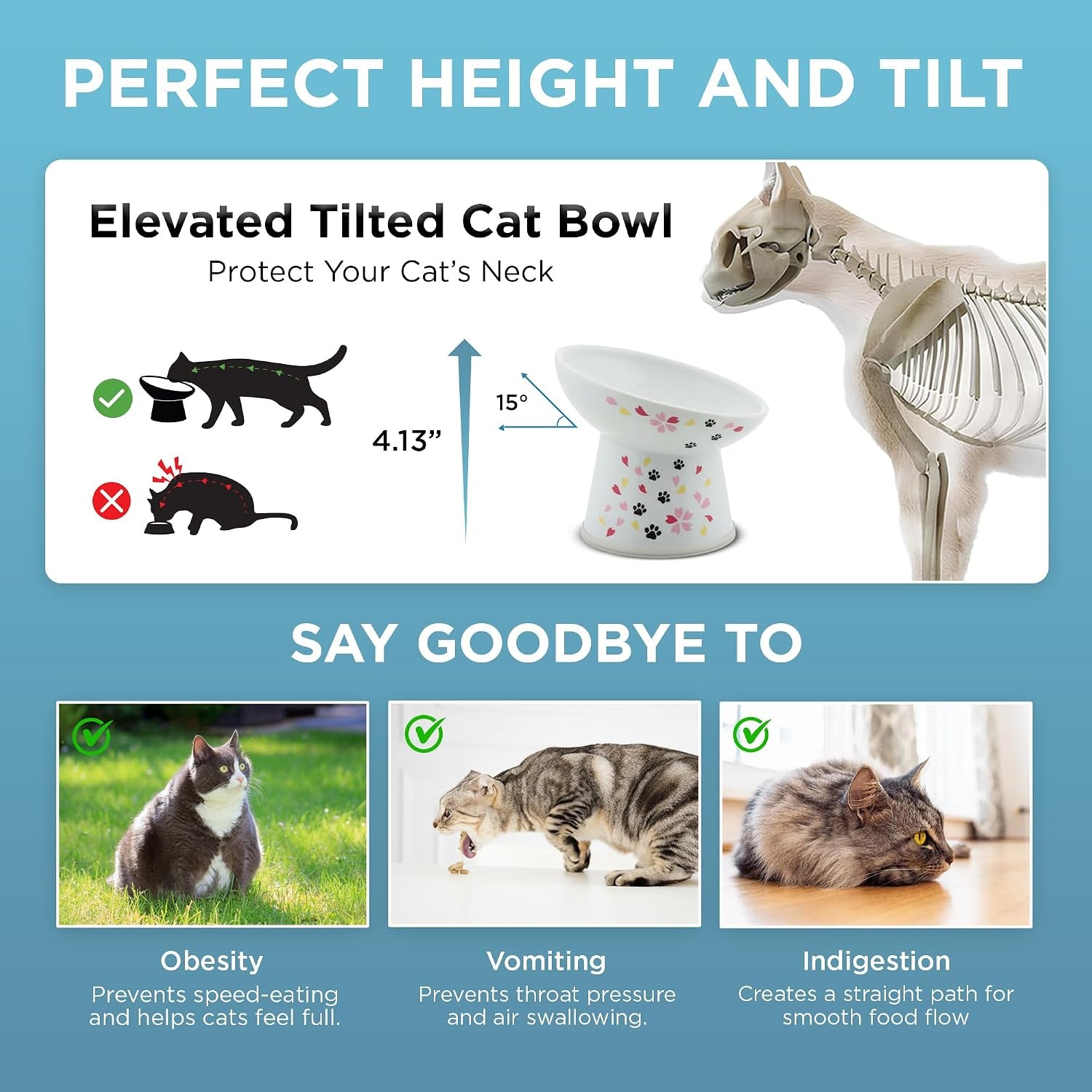 Necoichi Ceramic Raised Cat Food Bowl, 15° Tilted (Sakura, Regular Tilted)