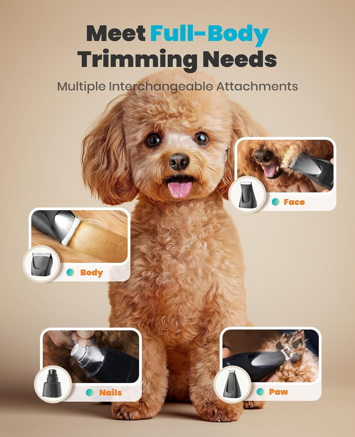 Professional 4-In-1 Dog Grooming Kit with LED Light