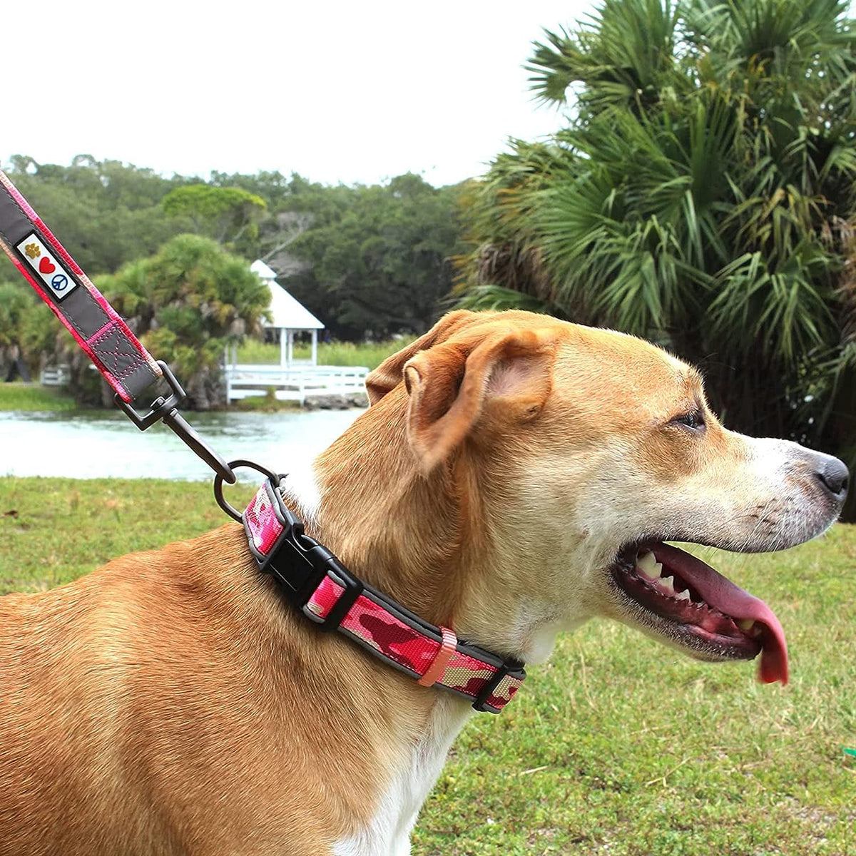 Camo Pink/Black Padded Dog Collar, Large