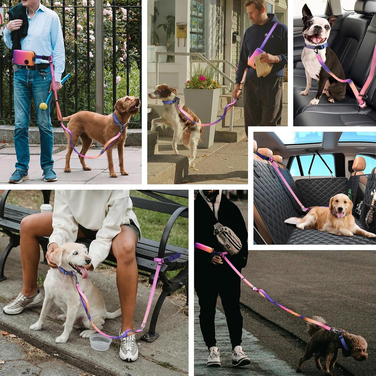 Hands Free Dog Leash with Zipper Pouch, 6-9Ft Bungee Waist Leash for Medium Large Dogs Walking, Running Lead with Dual Padded Handles Car Safety Buckle for Training Jogging
