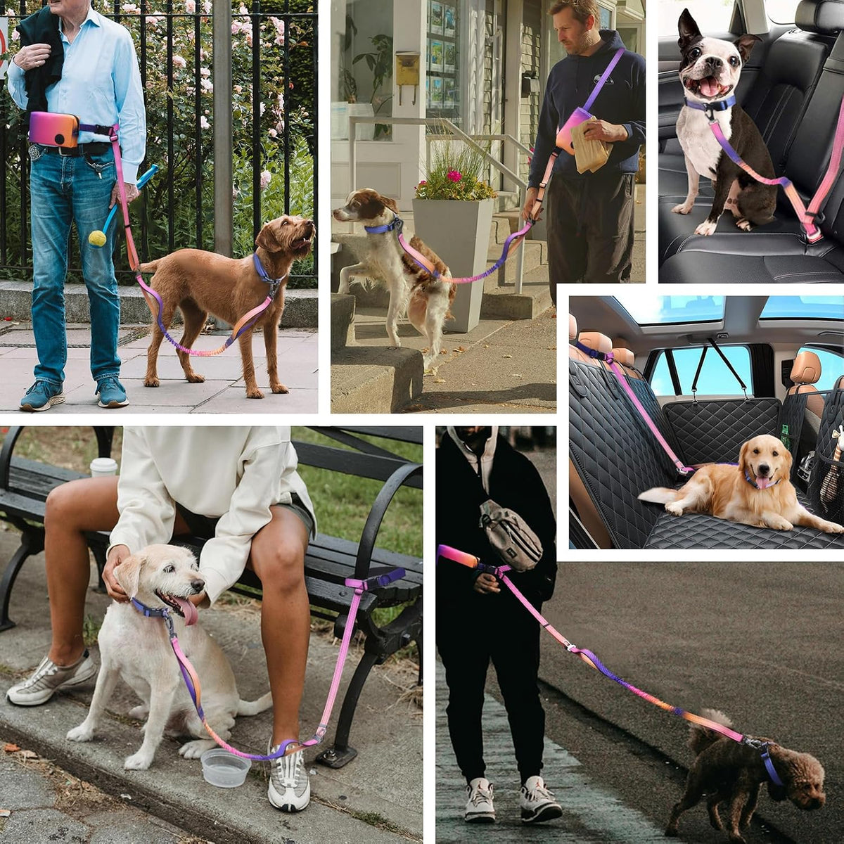 Hands Free Dog Leash with Zipper Pouch, 6-9Ft Bungee Waist Leash for Medium Large Dogs Walking, Running Lead with Dual Padded Handles Car Safety Buckle for Training Jogging