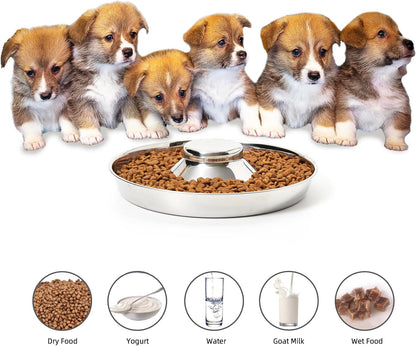 2 Pack Stainless Steel Puppy Bowls, Dog Feeding Bowl