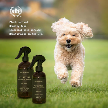 Pet Ritual Pet Cologne Spray for Dogs - Dog Perfume Spray Long Lasting after Bath - Pet Perfume for Dogs - Essential Oils Infused - 4Oz, Lavender Fields