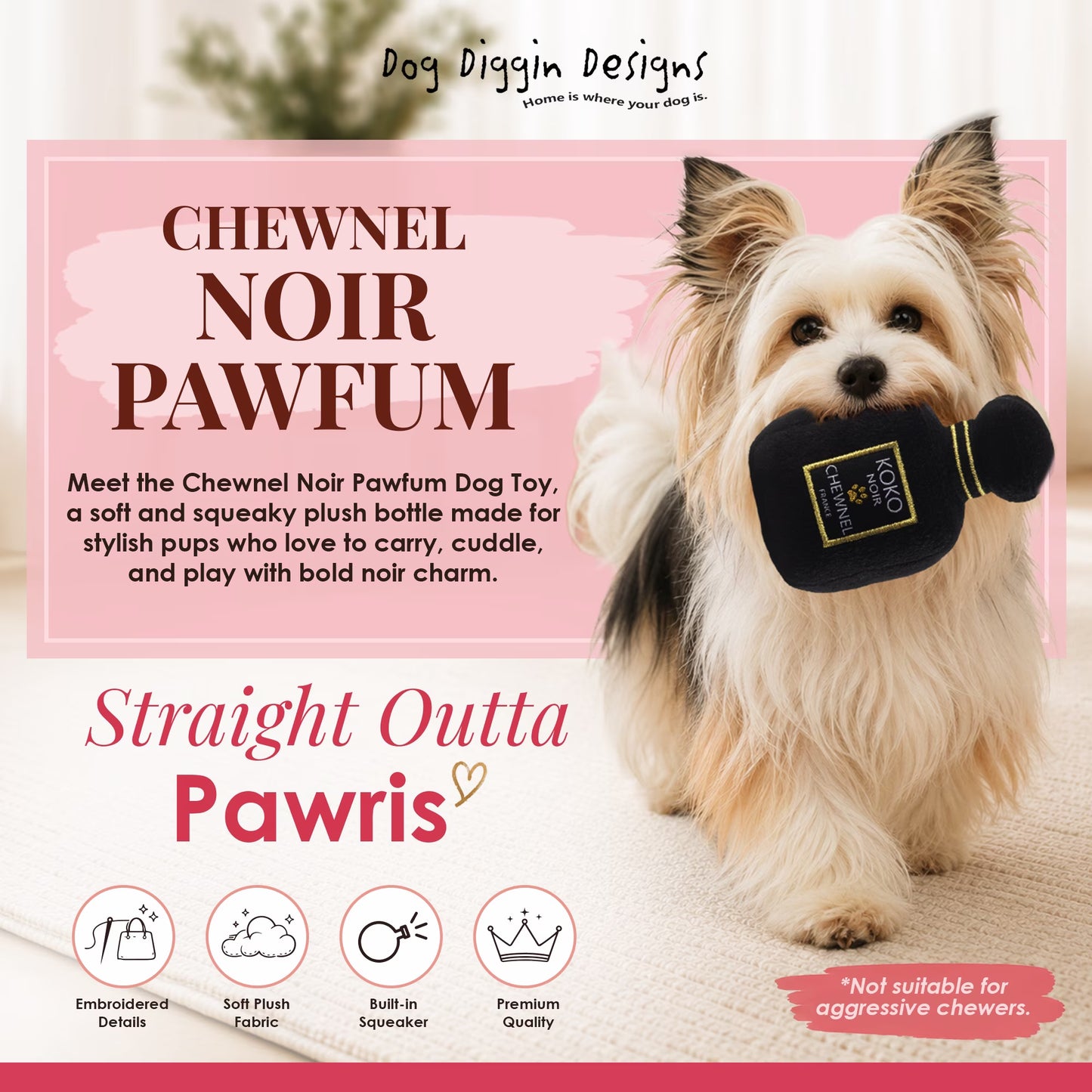 Runway Pup Collection | Unique