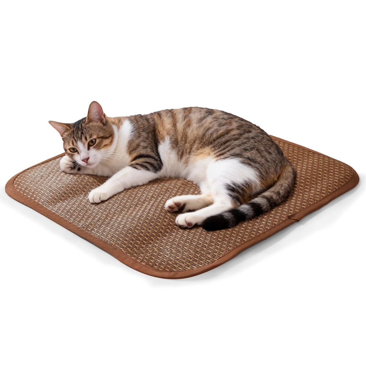 Cat Bed,  Cat House for Indoor Cats with 2 Cushion, Large Cat Cave with Scratch Pad and Fluffy Ball Hanging, Pink