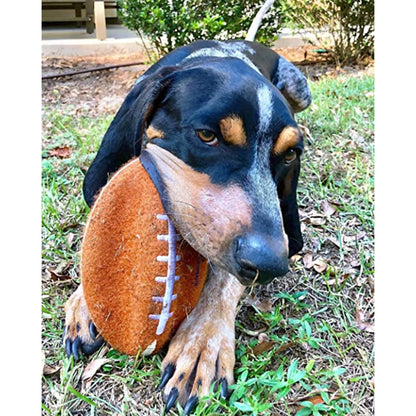 Power Play Football Dog Toy, Dog Balls, Squeaky Toy for Dogs, Large