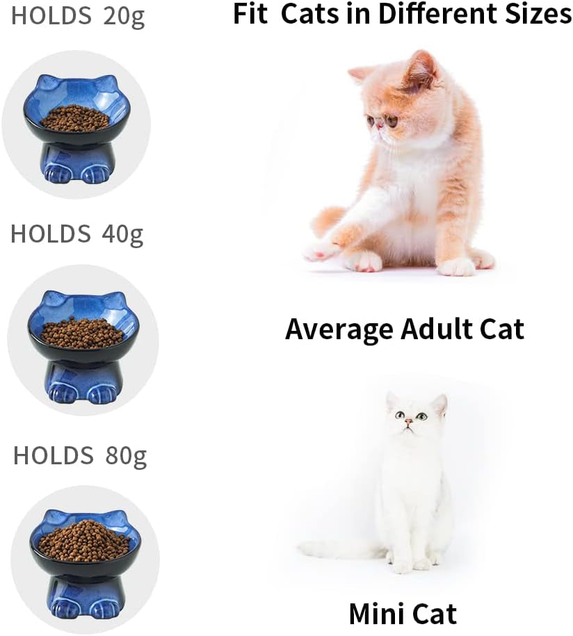 Elevated Cat Bowls,5 Inch Ceramic Raised Cat Food and Water Bowl Set