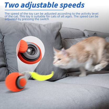 2PCS Speedy Tail 2.0, Interactive Cat Toy for Indoor Cats, Automatic Moving Cat Toy Ball, USB Rechargeable Smart Cat Toys Ball with Replacement Tail, 2 Speed Adjustment
