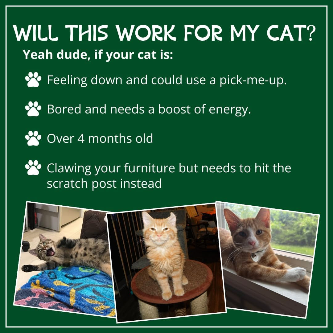 Organic Catnip by , Safe Premium Blend Perfect for Cats