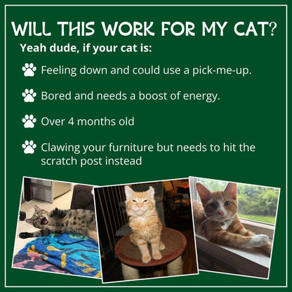 Organic Catnip by , Safe Premium Blend Perfect for Cats