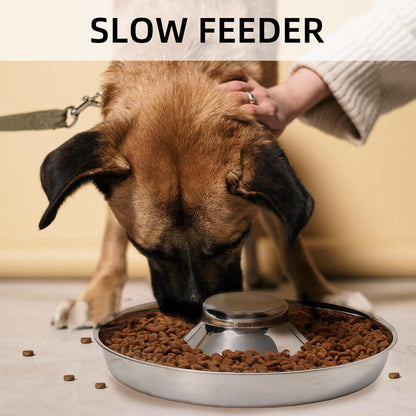 2 Pack Stainless Steel Puppy Bowls, Dog Feeding Bowl