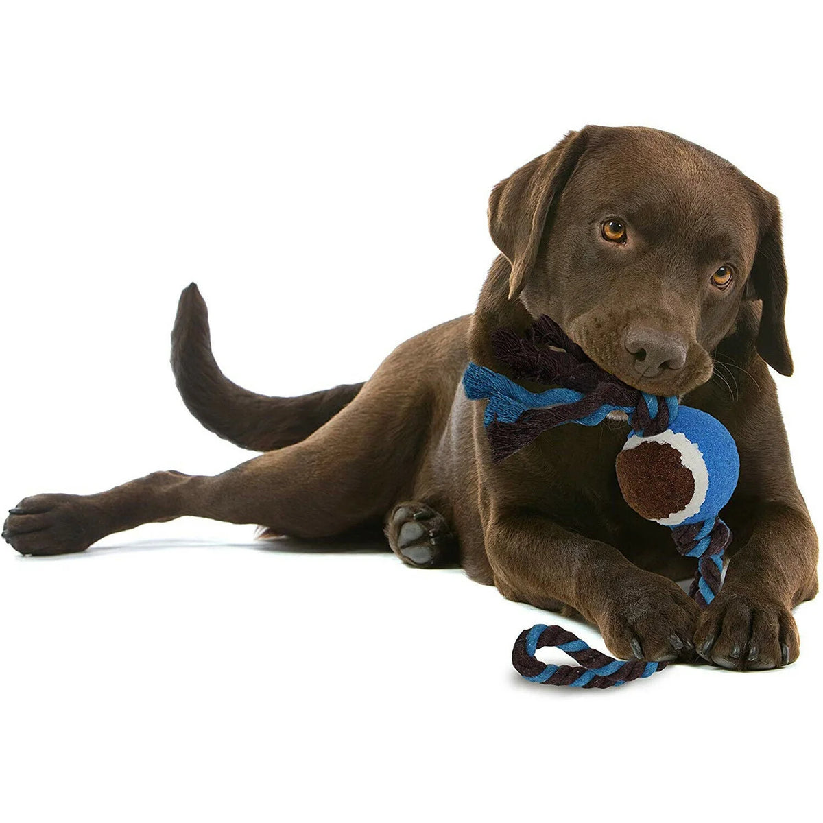 Knotted Rope Toy with Tennis Ball for Dogs | Hours of Play | Approved by Dogs | Blue