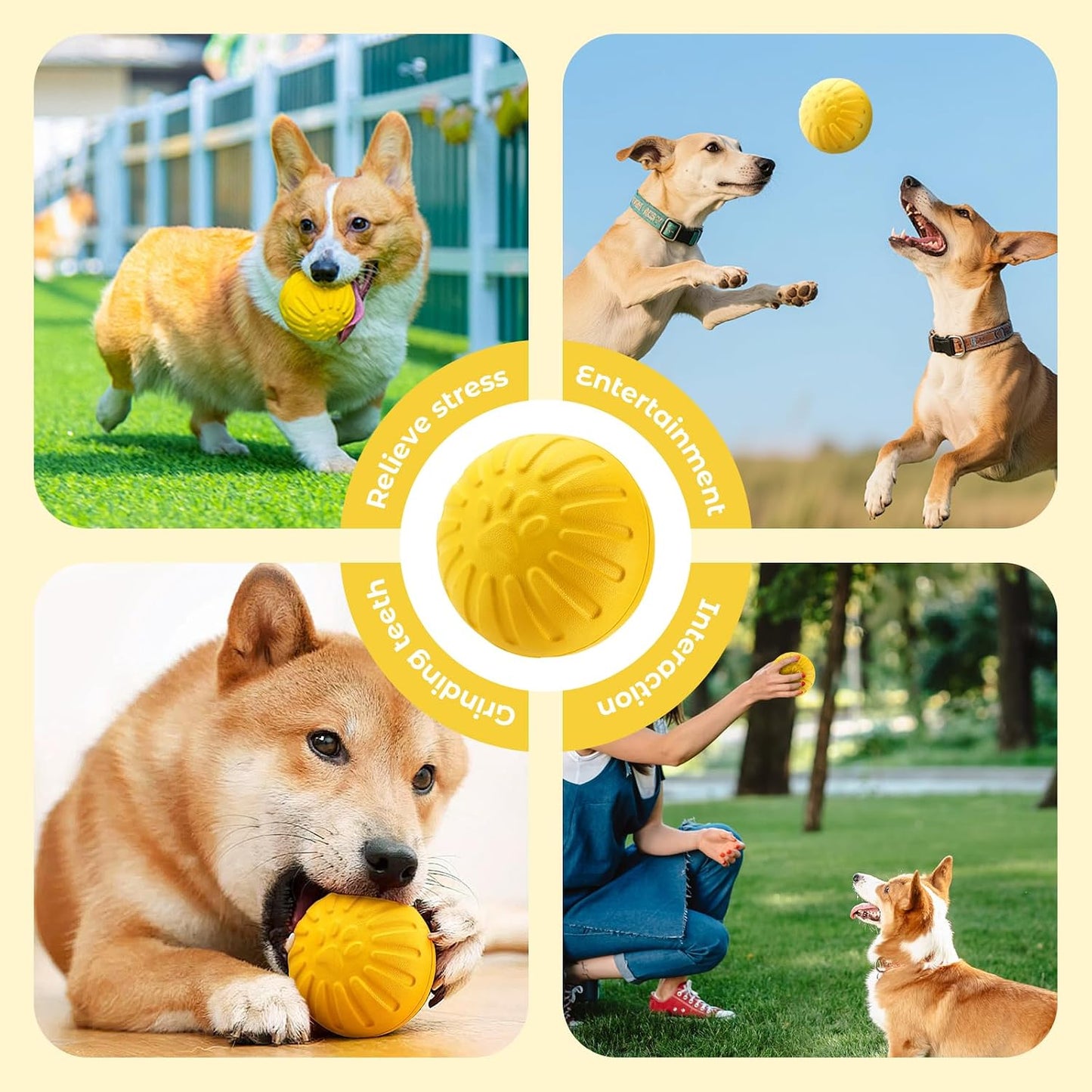 Dog Walking Kit - Pet Pooper Scooper, Biodegradable Waste Bags, Collapsible Travel Bowl, Heavy Duty Dog Leash, Interactive Rubber Ball - Complete Outdoor Pet Supplies for Puppy & Large Dogs