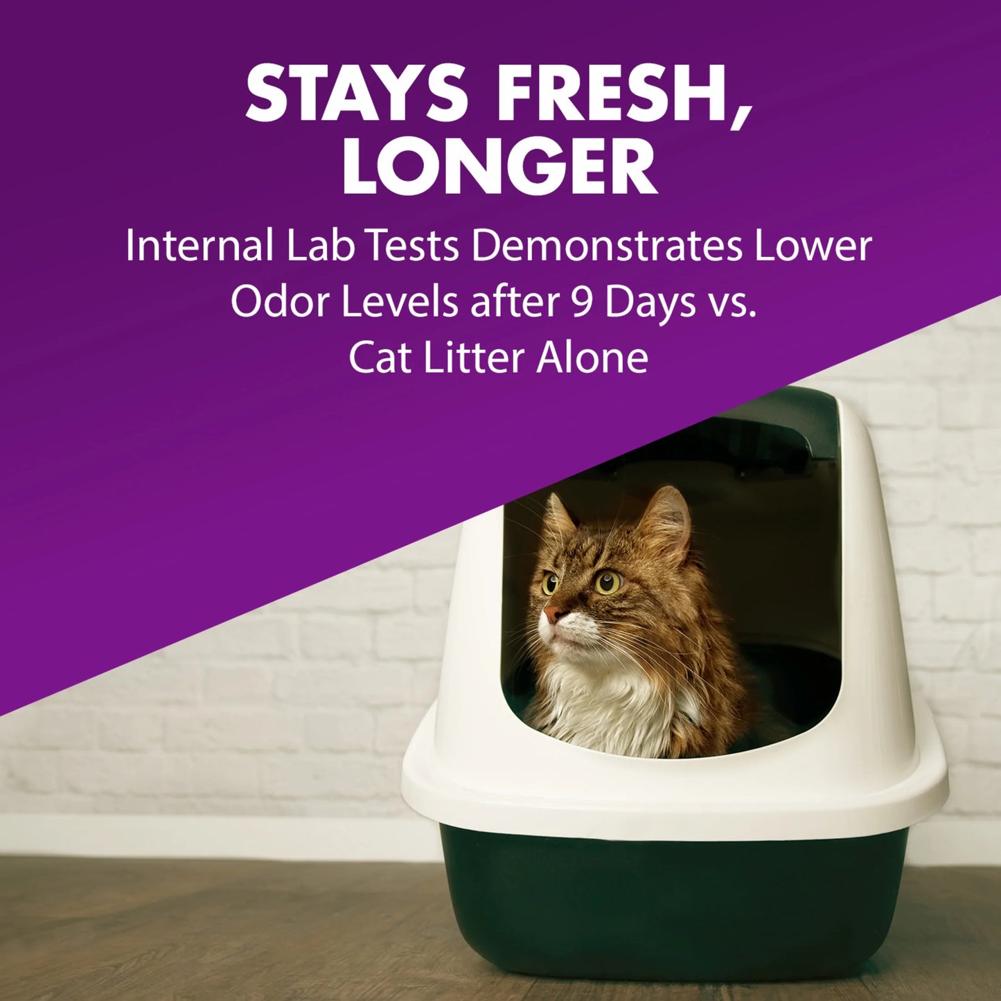 (3 Pack)  Double Duty Cat Litter Deodorizer and Pet Odor Eliminator, 33 Oz Box