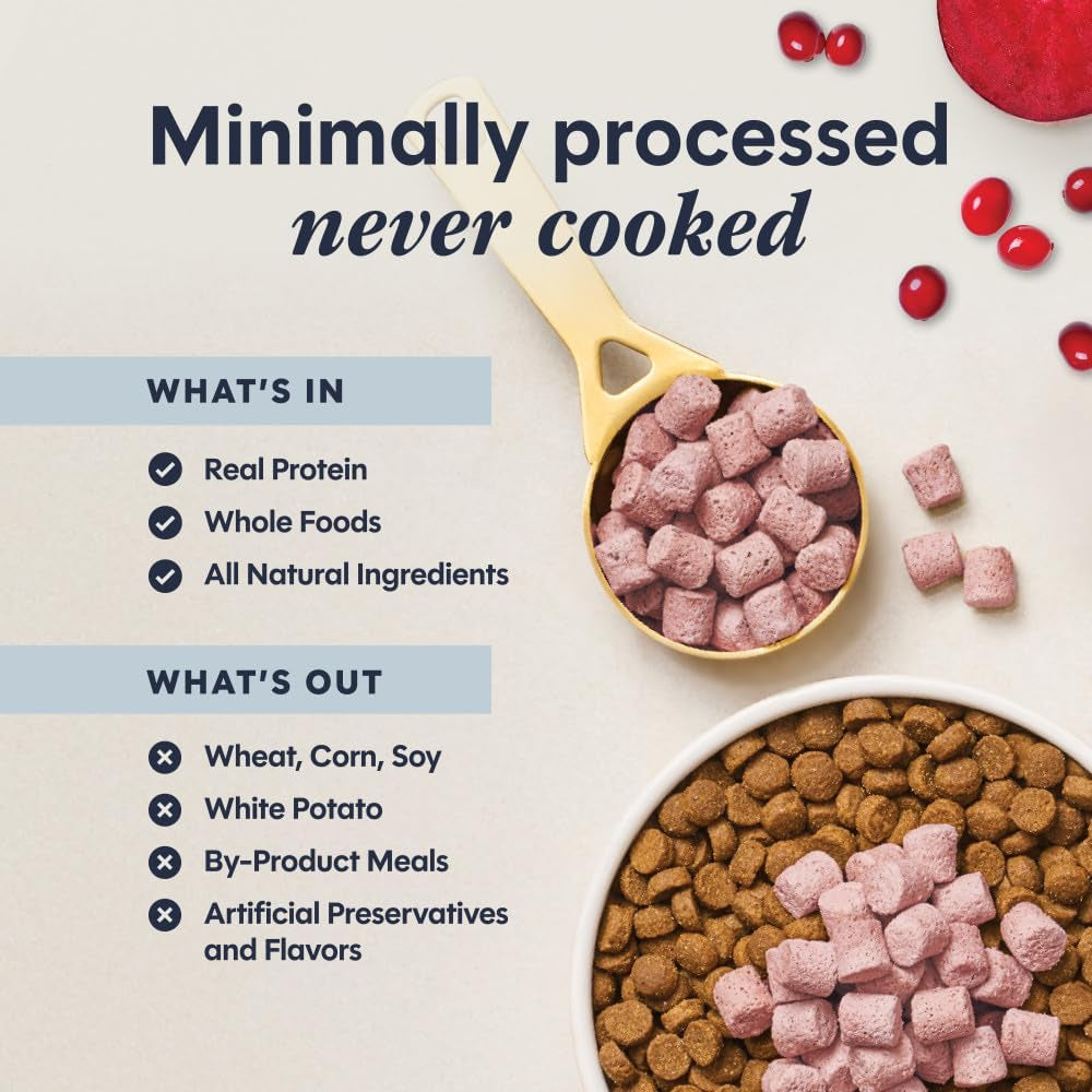 Freeze Dried Mixers, Cat Food Toppers, Skin & Coat, 5.5 Oz